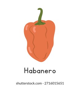 Habanero Pepper Flat Cartoon Vector Illustration Isolated on White Background