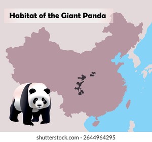 Habitat of the Giant Panda map. Vector education illustration