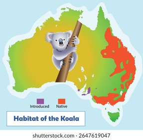 Hábitat do mapa do coala. Ilustração de arte vetorial de educação