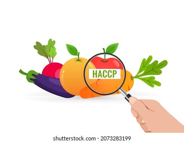 HACCP food safety checking and inspection 