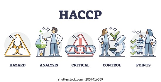 HACCP Food Safety Preventive Analysis And Control System, Outline Diagram. Bacteria Hazard Monitoring And Critical Hygiene Requirement Points For Safe Food Production Process And Preparation.