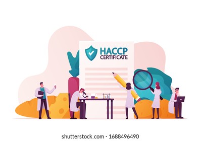 Haccp Hazard Analysis and Critical Control Point. Standard and Certification, Quality Control Management Rules for Food Industry. Tiny Characters with Microscope. Cartoon People Vector Illustration