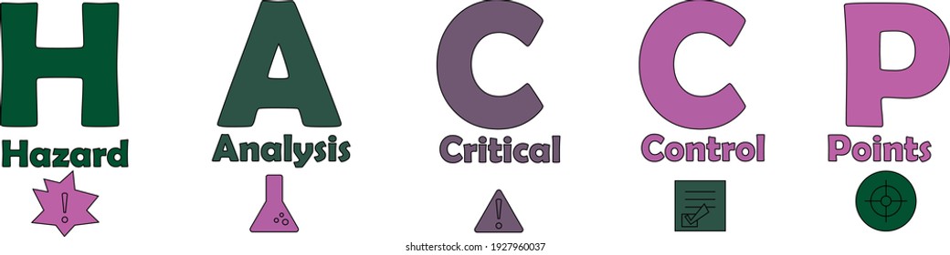 HACCP - Hazard Analysis and Critical Control Points concept vector illustration. Introduction to HACCP standard. Diagram of HACCP.  Illustration banner with icons. 