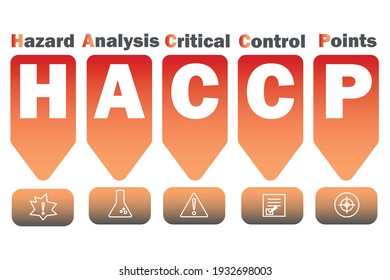 HACCP - Hazard Analysis and Critical Control Points concept vector illustration. Introduction to HACCP standard. Diagram of HACCP.  Illustration banner with icons. Food safety concept