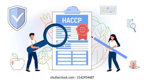 HACCP Hazard Analysis and Critical Control Points acronym Standard and certification Quality control management Rules for food industry Business flat style vector illustration concept