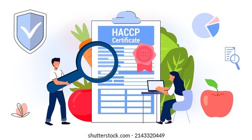 Acrónimo HACCP Hazard Analysis and Critical Control Points Estándar y certificación Normas de gestión del control de calidad para la industria alimentaria Concepto de ilustración vectorial de estilo plano empresarial