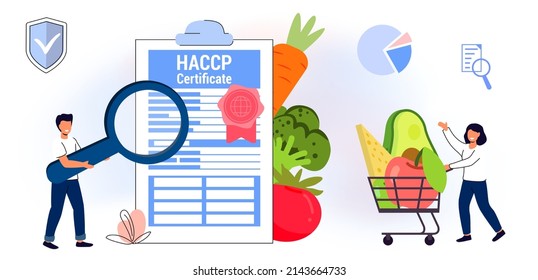 HACCP Hazard Analysis and Critical Control Points acronym Standard and certification Quality control management Rules for food industry Business flat style vector illustration concept
