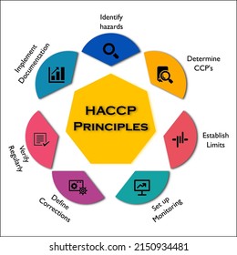 HACCP - Hazard, Analysis, Critical, Control And Points Acronym. Infographic Template With Icons