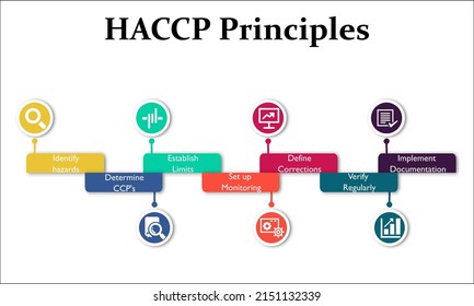 HACCP - Hazard, Analysis, Critical, Control And Points Acronym. Infographic Template With Description Placeholder
