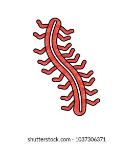 hacker virus worm digital information