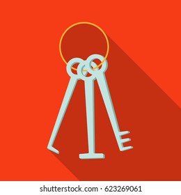 Hacker's lockpicks icon in flat style isolated on white background. Hackers and hacking symbol stock vector illustration.