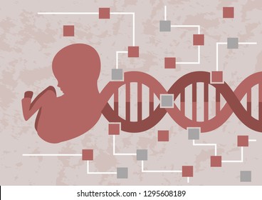 Hacking baby embryo. Decoding the DNA of embryo for checking of the possible mutation or bad genes. DNA of baby embryo is transforming in the circuit of microchips