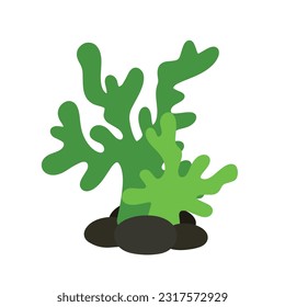 Had drawing green algae, sea grass, underwater seaweed plants. Vector illustration design elements collection on a white background