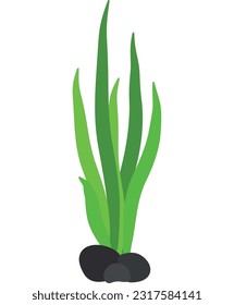 Había dibujado algas verdes, hierba marina y algas submarinas. Colección de elementos de diseño de ilustración de vector sobre fondo blanco
