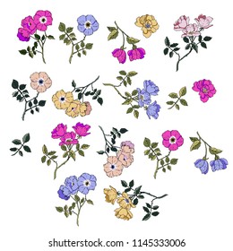had drawn vector dog roses (wild roses). Isolated flowers on a white background
