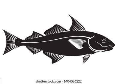 Haddock fish