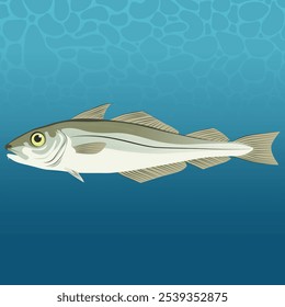 The Haddock Fish Vector Image