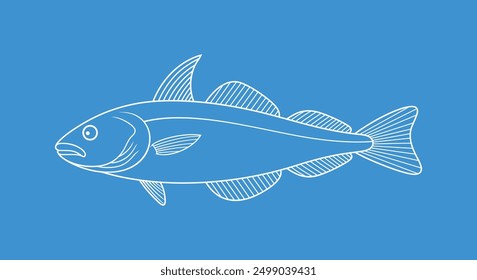 Haddock outline.  Isolated haddock on white background