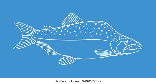 Haddock outline.  Isolated haddock on white background