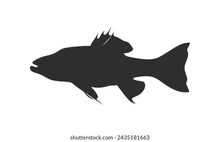 Schellfisch Vektor Schwarze Silhouette Weiß Hintergrund