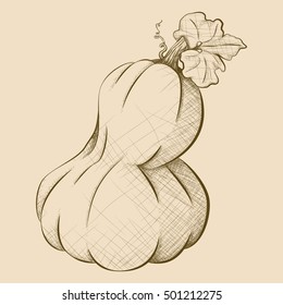 A had-drawn vector illustration of a double pumpkin in brown.