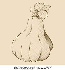 A had-drawn vector illustration of an odd shaped pumpkin in brown.