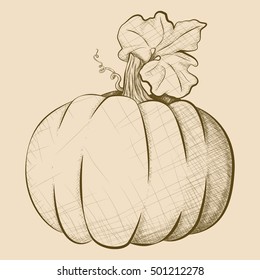 A had-drawn vector illustration of a oversized pumpkin in brown.