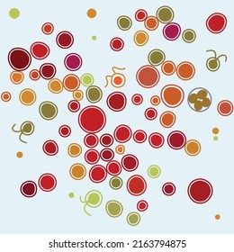 Haematococcus is a microalgae from Chlorophyta. This microalgae is well known for its high content of the strong antioxidant astaxanthin, which is important in food, aquaculture and cosmetics.