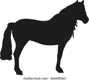 Haflinger horses silhouette