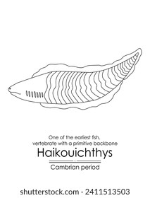 Haikouichthys is known as one of the first fish and one of the earliest animals with a simple backbone. It lived during the Cambrian period. 