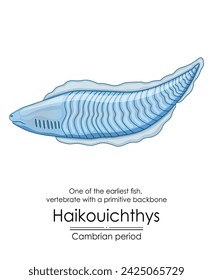 Haikouichthys is known as one of the first fish and one of the earliest animals with a simple backbone. It lived during the Cambrian period. Colorful illustration on a white background