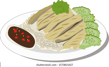 Hainanese chicken rice vector on plate white background