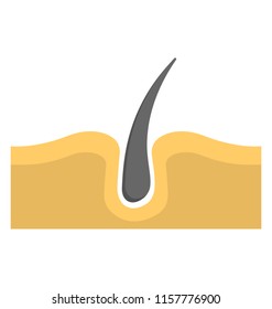 
hair bulb or hair follicle in skin, flat vector icon 

