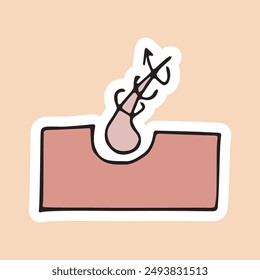 hair. the hair bulb. the scalp. hair loss. recovery. vector. doodle. icons. drawing. the method of protection.