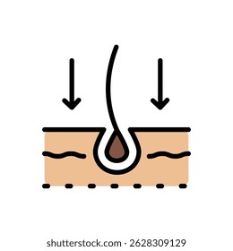 Hair care color icon, loss treatment, moisturizing and applying creatine, healthy roots, serum for follicle, using dry shampoo. Vector icon for web design isolated on white background.