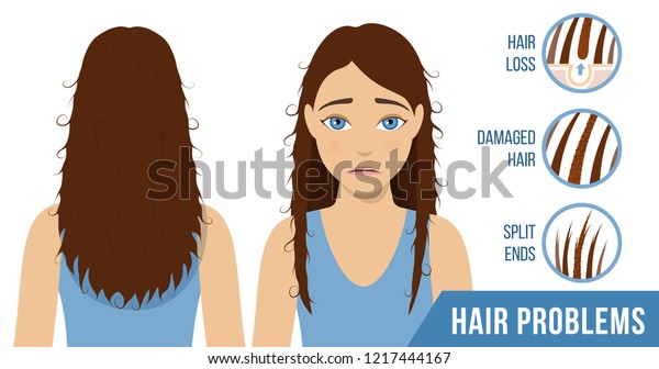 Hair Care Common Problems Split Ends Stock Vector Royalty Free