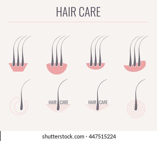 Hair care logo linear icon set with follicle medical diagnostics symbols. Alopecia treatment and transplantation concept. Vector illustration.