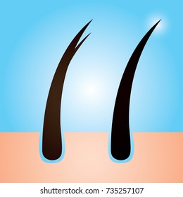 Hair care , prevent split ends vector illustration