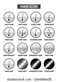 Hair care and problem icon symbol vector illustration