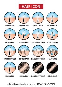 Hair care and problem icon symbol vector illustration