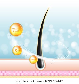 Hair care serum follicle diagnostics. Anatomy skin, medical human, epidermis layer, vector illustration design.