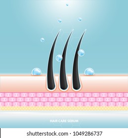 Hair care serum follicle diagnostics. Anatomy skin, medical human, epidermis layer, vector illustration design.