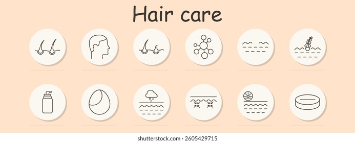 Hair care set icon. Follicle, scalp, head profile, molecules, layers, curl, bottle, egg, snow, cracks, sun, solid product, reflecting stages and textures of hair