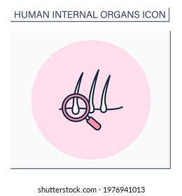 Hair color icon. Hairbreadth examination. Finding problems. Brittle hair. Baldness concept.Isolated vector illustration