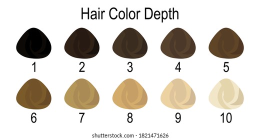 Hair colour numbering system. Quality image for your project