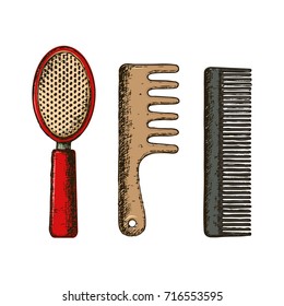 Hair combs on white background, sketch illustration. Vector