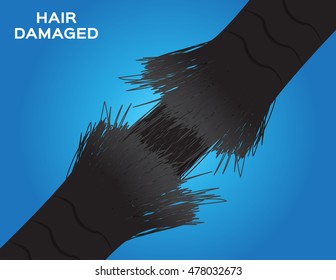 hair damaged vector