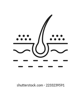 Hair Dandruff Line Icon. Dermatology Problem of Hair Dandruff Black Outline Pictogram. Unhealthy or Dirty Follicle Icon. Editable Stroke. Isolated Vector Illustration.