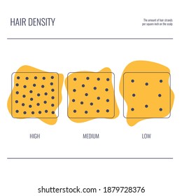 Hair density types classification set. Low, medium, high strand volume. Anatomical structure linear scheme. Outline vector illustration. 