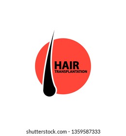 hair detail illustration